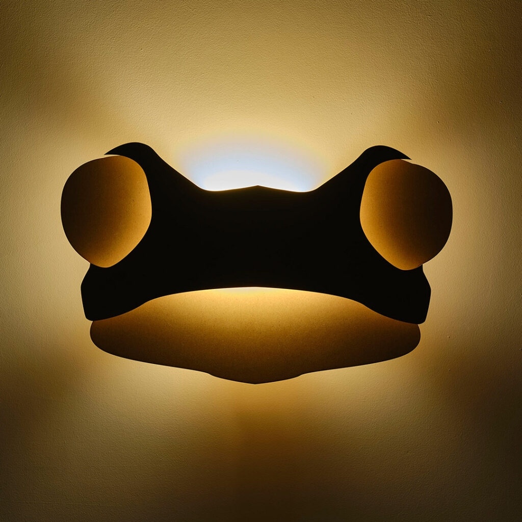 Van Tjalle en Jasper wandlamp kikker