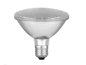 Halogeen PAR30 ( Hi-spot 95 ) 75W FL 30D 230V E27