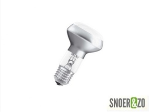 Halogeen R63 lampen E27