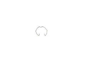 Inbouwspot veerring 25 mm