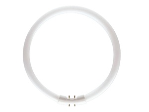 Philips MASTER TL5C Circulair 60W - 840 Koel Wit - 38 cm