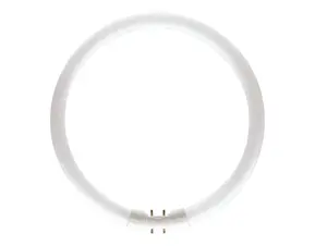 Philips MASTER TL5C Circulair 60W - 840 Koel Wit - 38 cm