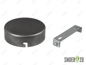 Plafondkap blank metaal plat zonder gat met beugel