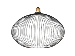 Segula LED Floating Filo Oval 300 mm 6W 2200K zwart