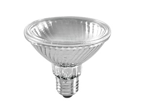 Sylvania Hi-Spot 95 75W FL 30D 230V E27 - EV